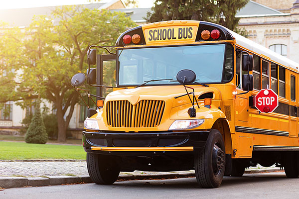 Bachelorette or bachelor party with US school bus
