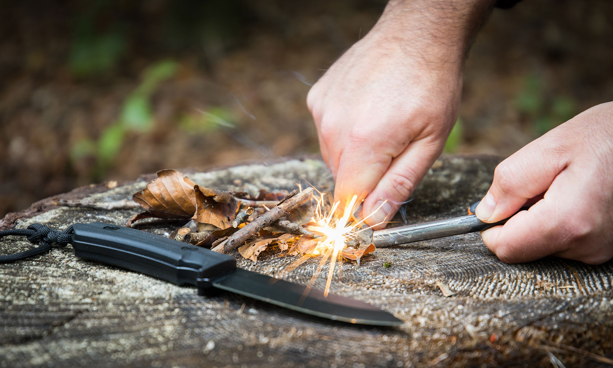 Überlebenstraining buchen / Book a survival training